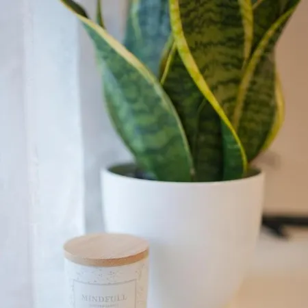 Appartement Break Split